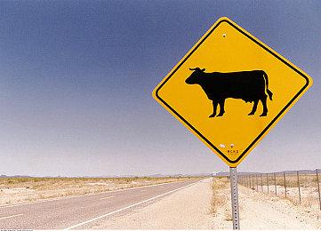 NHK小岛秀夫特别广播节目第二期5月18日播出 对话导演山崎贵